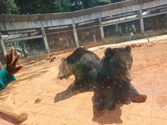 -昆明动物园