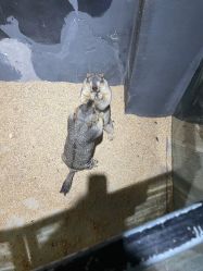 -酷嗒动物文化乐园(cutezoo西溪乐天城店)