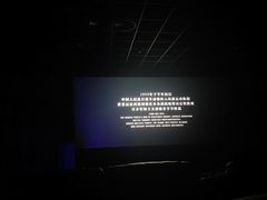 -保定金棕榈先天下国际影城(LUXE)