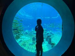 -亚特兰蒂斯水世界冒险乐园