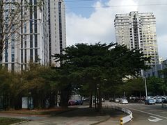 -万绿园