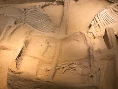 -洛阳周王城天子驾六博物馆