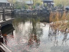 景点-横山寺