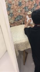 -布恩儿童摄影