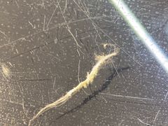 -面包新语(上地华联店)