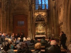 -斯蒂芬主教座堂(Stephansdom)