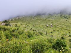 -白草畔自然风景区