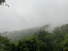 -阳台山自然风景区