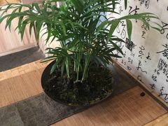 -悟饮门市景店