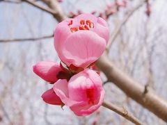 -永定河休闲森林公园