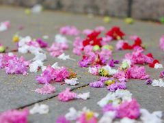 -杭州城北体育公园