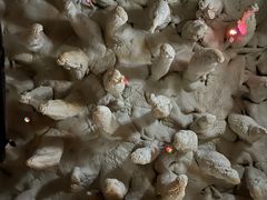 -清水洞汤泉(嘉陵江西路店)