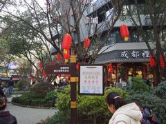 -泡桐树街