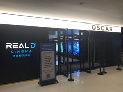 -奥斯卡升龙国际影城(RealD Cinema)