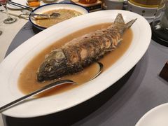 -阿庄新豫菜(航海东路店)