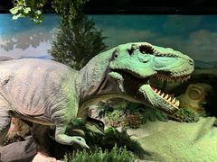 -国家自然博物馆