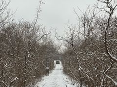 -元大都城垣遗址公园