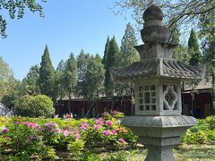 -洛阳白马寺