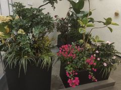 -雅苑中餐厅