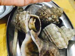 海螺-蚝专家(北滘店)