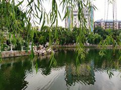 -孺子亭公园