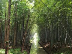 -同里国家湿地公园