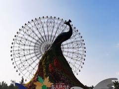 -七彩云南欢乐世界