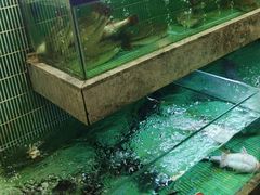 -鱼你相聚·河鲜馆(袁家岭店)
