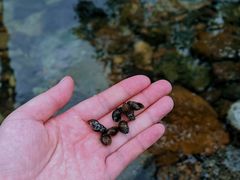 -北仑森林植物园