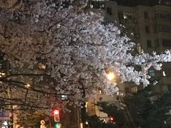 -玛格萝妮比萨屋(四平店)