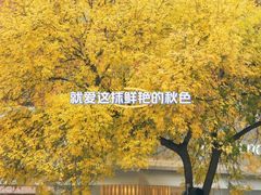 -好利来(槐中店)