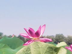 -杜氏旅游度假区