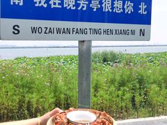 -七的湖·晚芳亭·阳澄湖农家菜·大闸蟹(莲花岛店)