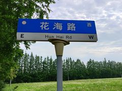 -上海长兴岛郊野公园
