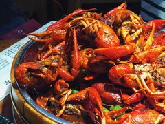 -红盔甲·小龙虾(天钥桥店)
