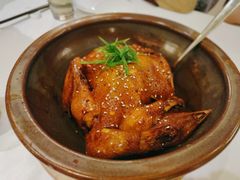 花雕鸡-江仙雅居(苏州桥店)