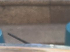 -煲来饱去冷水鱼