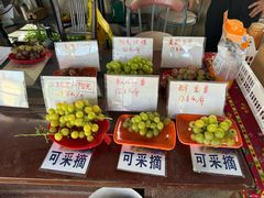 -马陆小张葡萄园农家乐