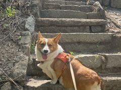 -白水寺森林公园