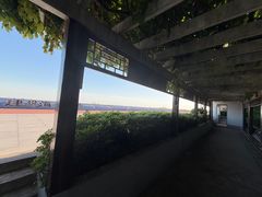 -瀛洲公园
