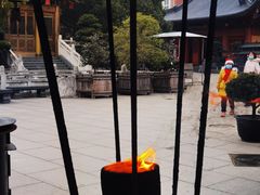 -上海东林寺(金山区)