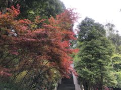 -都江堰普照寺