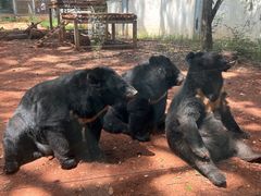 -昆明动物园
