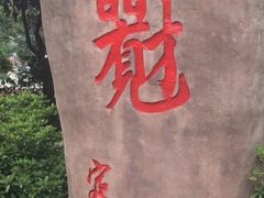 -定园