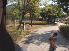 -王借岗森林公园
