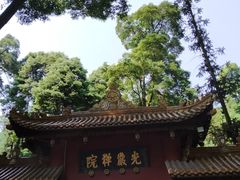 -凤栖山