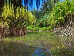 -中国科学院西双版纳热带植物园