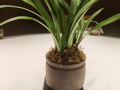 -湘邻呷铺·田园家宴(汉基广场店)