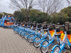 -上海海湾国家森林公园