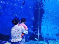 -多彩贵州城极地海洋世界